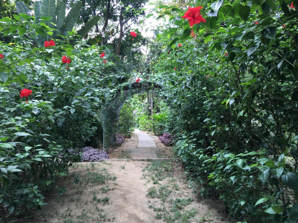 Starlight Beach Resort Koh Phayam Exterior photo